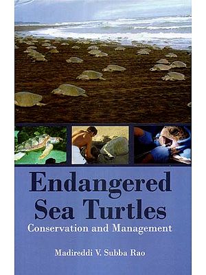 Endangered Sea Turtles- Conservation and Management