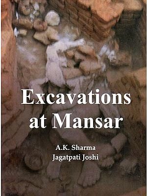 Excavations At Mansar