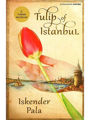 Tulip of Istanbul