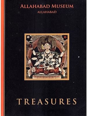 Treasures- Allahabad Museum Allahabad