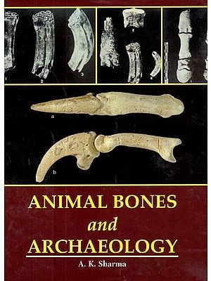 Animal Bones and Archaeology
