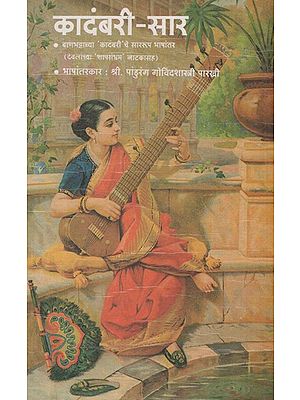 कादंबरी- सार: Kadambari Sara(Marathi)