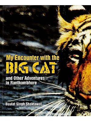 My Encounter With the Big Cat and Other Adventures in Ranthambore