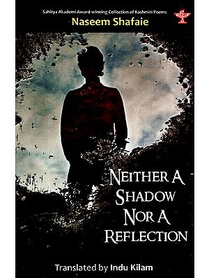 Neither A Shadow Nor A Reflection
