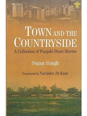 Town and the Country Side- A Collection of Punjabi Short Stories