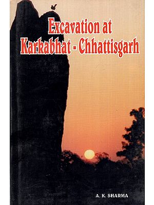 Excavation at Karkabhat Chattisgarh (A Megalithic Site)