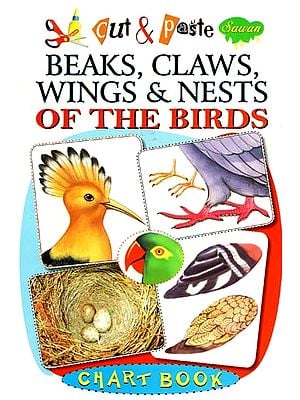 Cut & Paste: Beaks, Claws, Wings & Nests of the Birds (Chart Book)