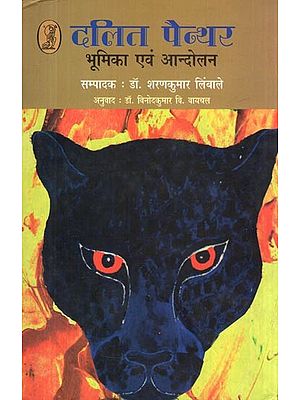 दलित पैन्थर: भूमिका एवं आन्दोलन- Dalit Panther (Role and Movement)