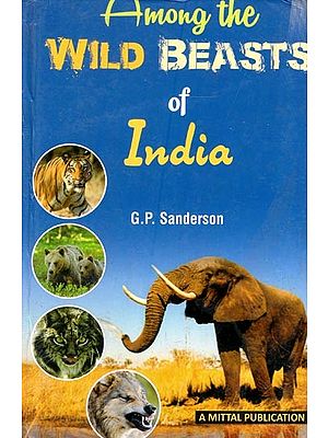 Among The Wild Beasts of India