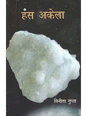 हंस अकेला: Hans Akela (Novel based on the Life of Jain Monk Acharya Roopchandra)