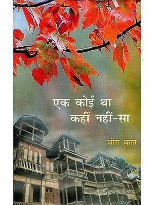 एक कोई था कहीं नहीं-सा - Ek Koi Tha Kahin Nahin Sa (Novel)