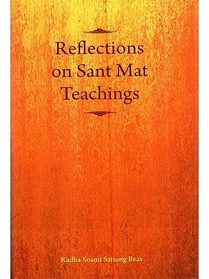 Reflections On Sant Mat Teachings