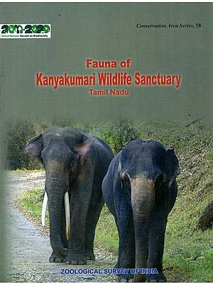 Fauna of Kanyakumari Wildlife Sanctuary Tamilnadu