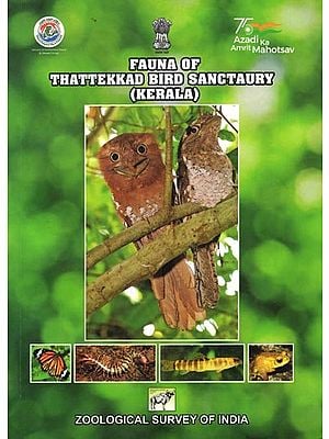Fauna of Thattekkad Bird Sanctuary- Kerala