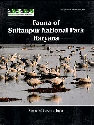 Fauna of Sultanpur National Park- Haryana