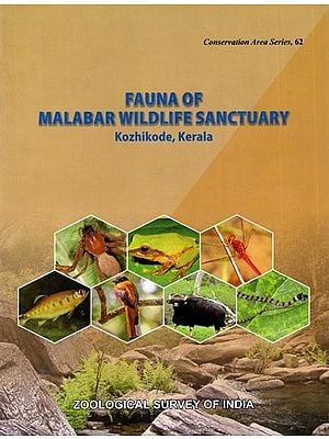 Fauna Malabar Wildlife Sanctuary- Kozhikode, Kerala
