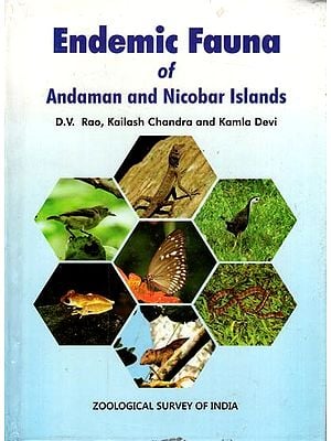 Endemic Fauna of Andaman and Nicobar Island
