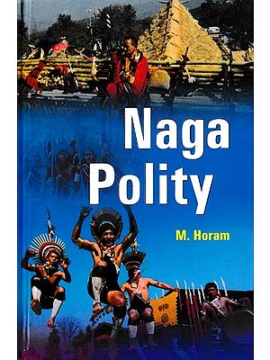 Naga Polity