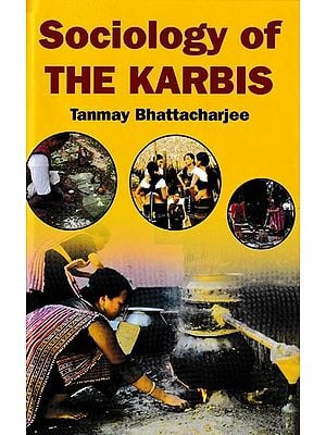 Sociology of the Karbis