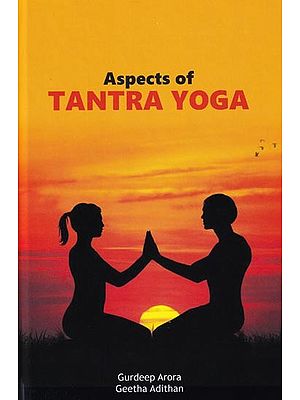 Aspects of Tantra Yoga
