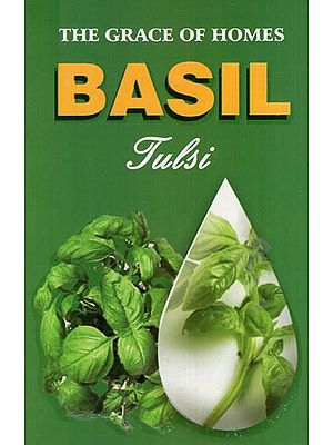 The Grace of Homes Basil (Tulsi)