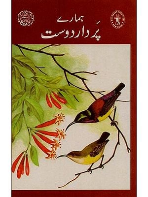ہمارے پر دار دوست- Our Winged Friends in Urdu