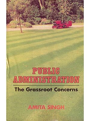 Public Administration: The Grassroot Concerns