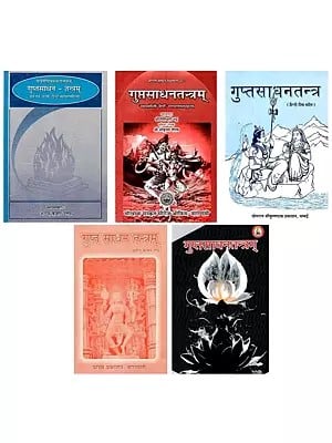 Gupt Sadhana Tantra: Set of 5 Books (In Hindi)