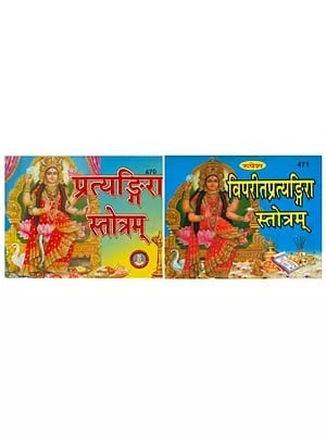 प्रत्यंगिरा एवं  विपरीत प्रत्यङ्गिरा स्तोत्रम्- Pratyangira evam Vipreet Pratyangira Stotram (Set of 2 Books)