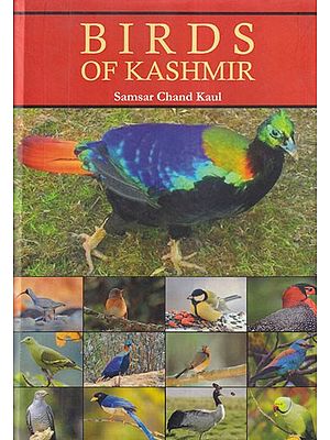 Birds of Kashmir (Photostat)
