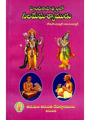 హిందీ సాహిత్యంలో నీలమేఘశ్యాముడు: Hindisahithyamlo Nilamegasyamudu (Telugu)
