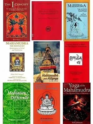Mahamudra (Set of 9 Books)