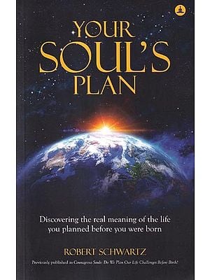 Your Soul's Plan: Discovering the Real Meaning of the Life You Planned Before You were Born