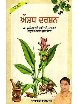 ਔਸ਼ਧ ਦਰਸ਼ਨ: Aushadh Darshan- Including Experienced Miraculous Experiments of Incurable Diseases Told by Param Pujya Swami Ramdevji Maharaj (Panjabi)