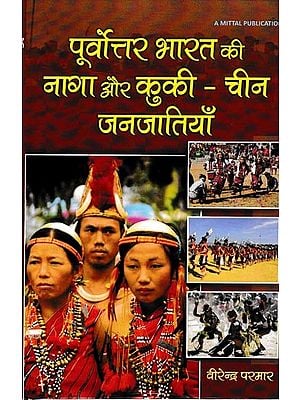 पूर्वोत्तर भारत की नागा और कुकी - चीन जनजातियाँ: Naga and Kuki Tribes of North East India China