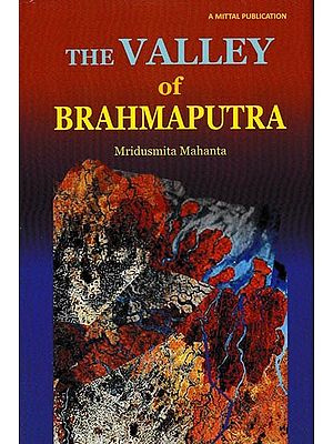 The Valley of Brahmaputra- Assamese Selfhood