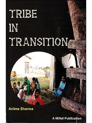 Tribe in Transition