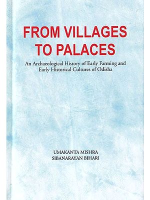 From Villages to Palaces: An Archaeological History of Early Farming and Early Historical Cultures of Odisha