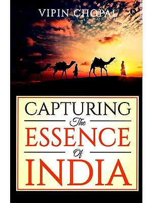 Capturing The Esssence of India