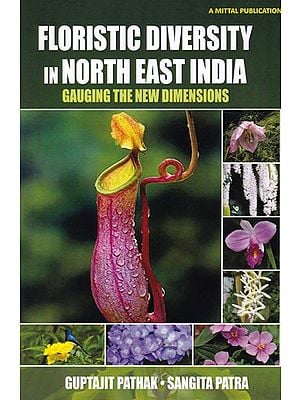 Floristic Diversity in Northeast India: Gauging the New Dimensions