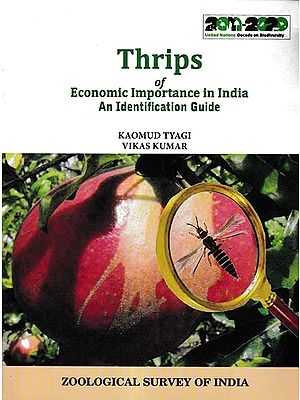 Thrips of Economic Importance in India An Identification Guide