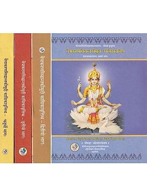 वैयाकरणसिद्धान्तकौमुदी काशिकावृत्तिश्च- Vaiyakarana Siddhanta Kaumudi and Kashika Vritti of Bhattoji Dikshita (Set of 4 Volumes)