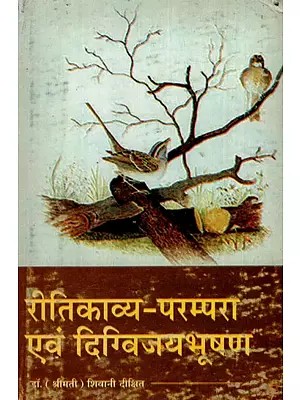 रीतिकाव्य-परम्परा एवं दिग्विजयभूषण: Ritikavya-Parampara Avam Digvijay Bhushan