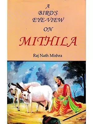 A Bird's Eye-View on Mithila
