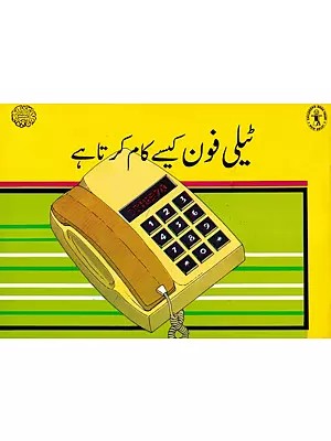 ٹیلی فون کیسے کام کرتا ہے:How Does the Telephone Work (Urdu)