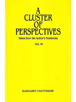 A Cluster of Perspectives-Taken from the Author's Notebooks (Vol-6)