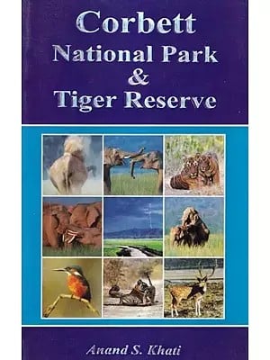 Corbett National Park & Tiger Reserve