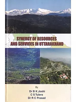 Synergy of Resources and Services in Uttarakhand