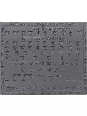 ਪੰਜਾਬੀ ਵਰਣਮਾਲਾ- Punjabi Language Alphabet Slates for Children with Complete Letters in Grooves to Learn Thoroughly by Tracing with Pencil (Punjabi)