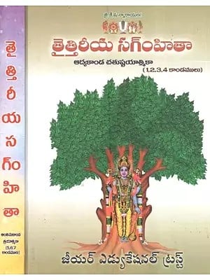 తైత్తిరీయ స౧ంహితా: Taittiriya Samhita (Telugu) Set of 2 Volumes